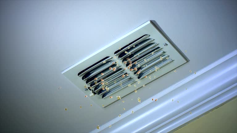 Best Ventilation Cleaning Services  in Lake Stevens, WA