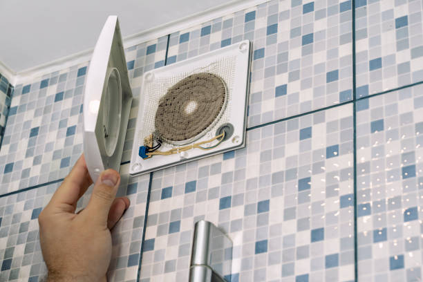 Air Duct Mold Removal in Lake Stevens, WA
